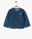 53WASIC bleu